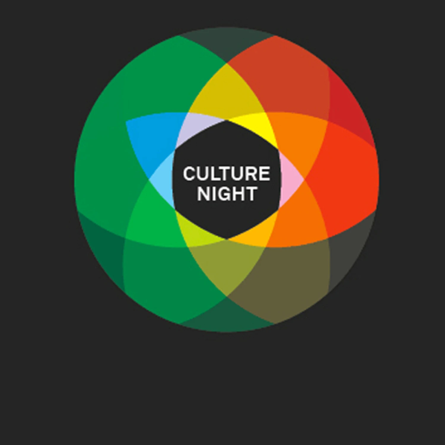 Culture Night at the IAF