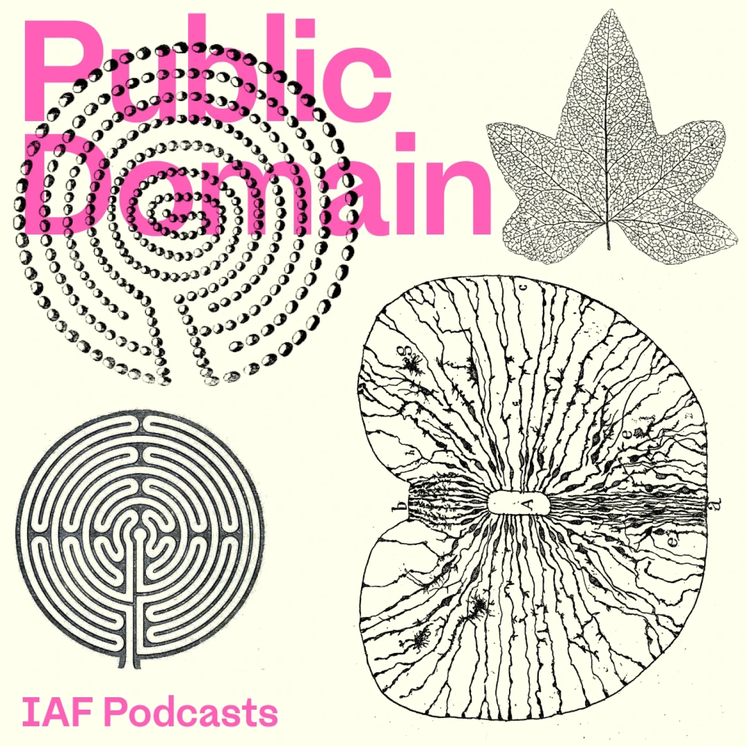 Public Domain — Live recording at Bohemians FC