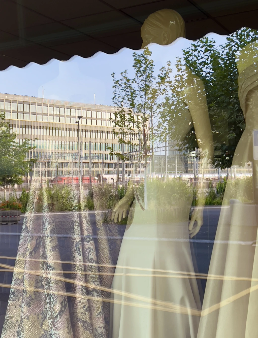 Photo through a shop window of ballgowns on mannequins, with reflections in the glass of a wavy awning, a modernist concrete and glass building, trees, and public transport