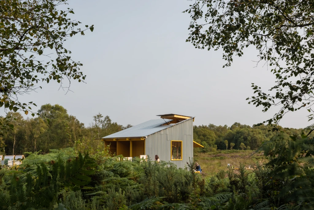 The corrugated steel of the bothy glistens in the evening sunlight, seen over a bank of ferns and between trees.