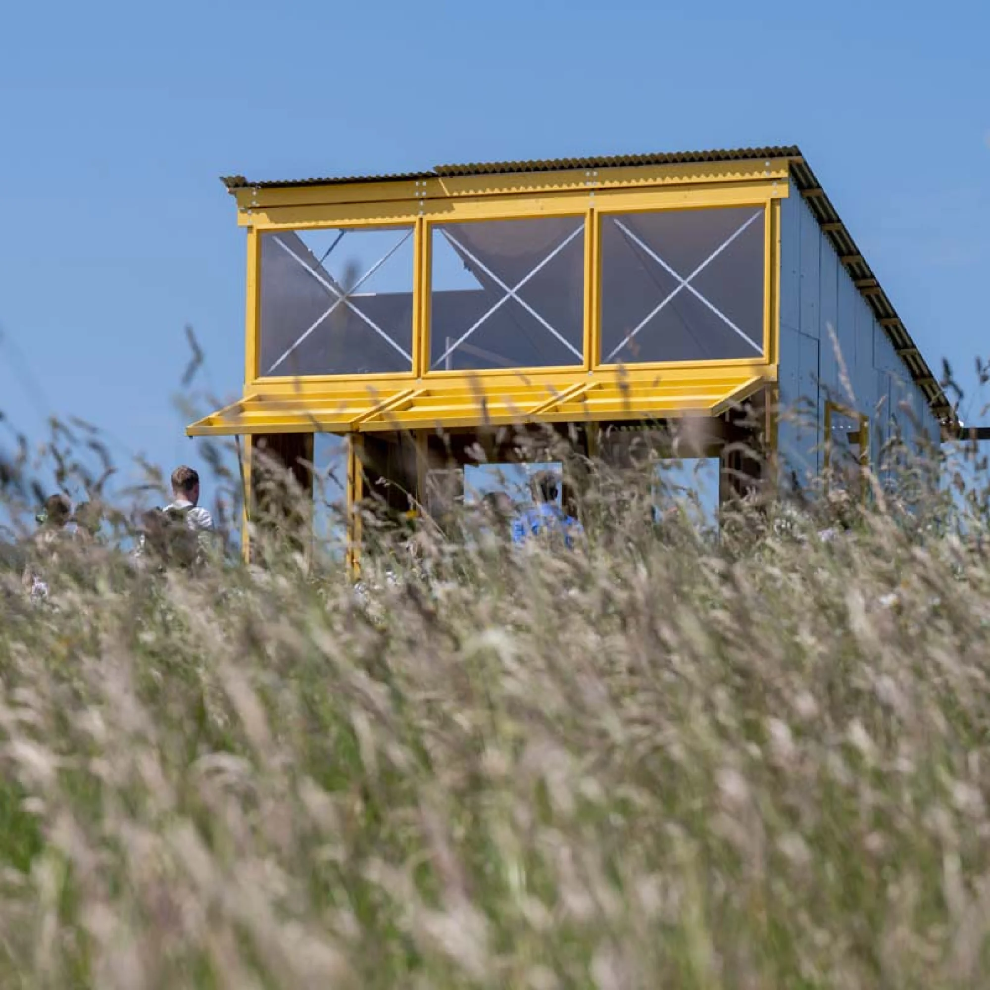 Bog Bothy: A New Peatlands Architecture