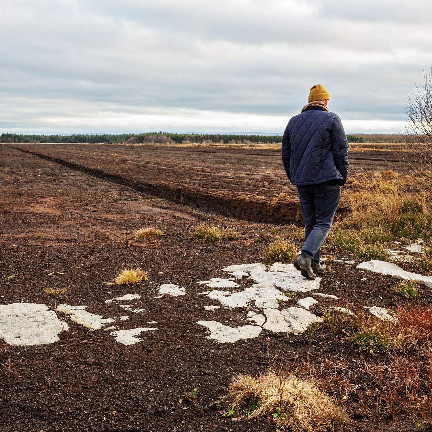 Bog Bothy project update