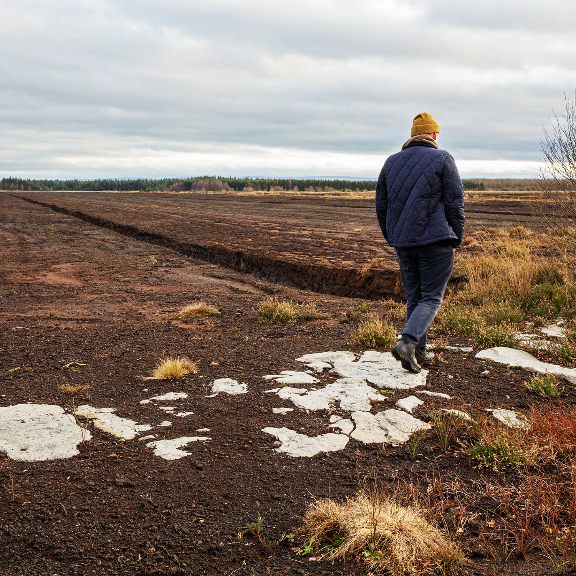 Bog Bothy project update