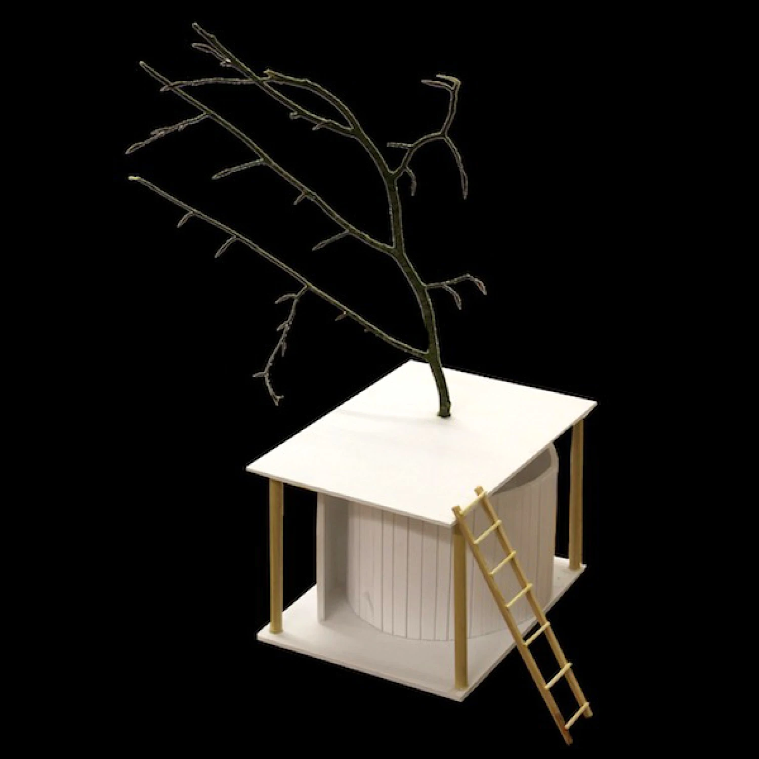 Cork School Exhibits IAF Architecture Project