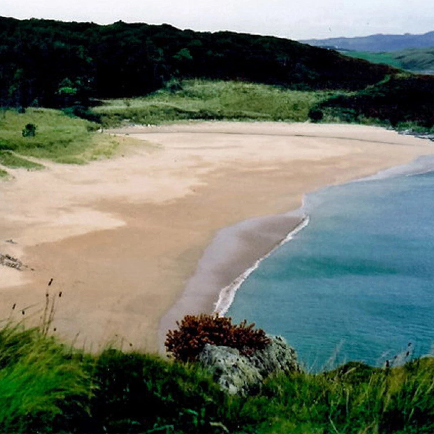 ArtScape Donegal @ Ards Forest Park – Architectural Commission