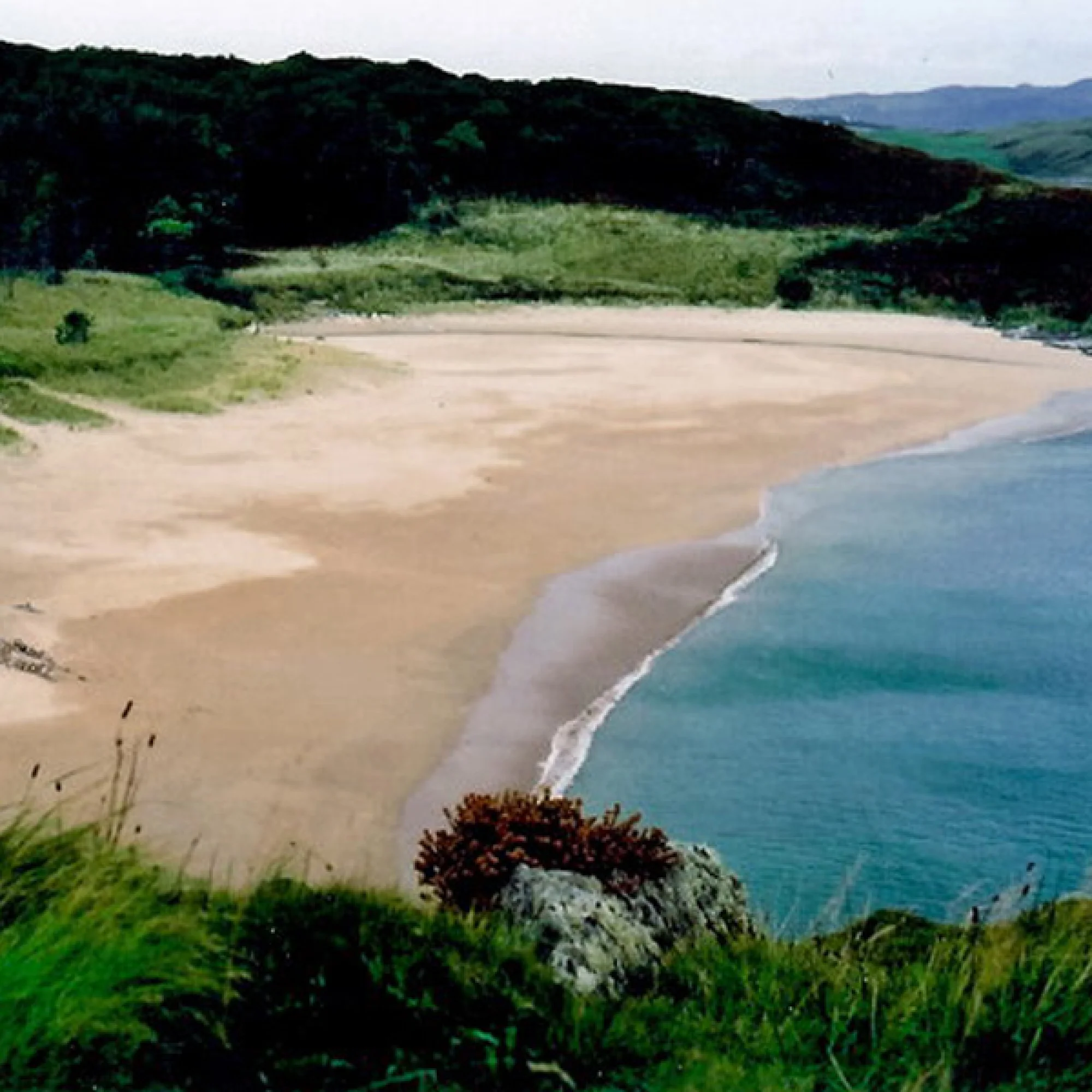 ArtScape Donegal @ Ards Forest Park – Architectural Commission