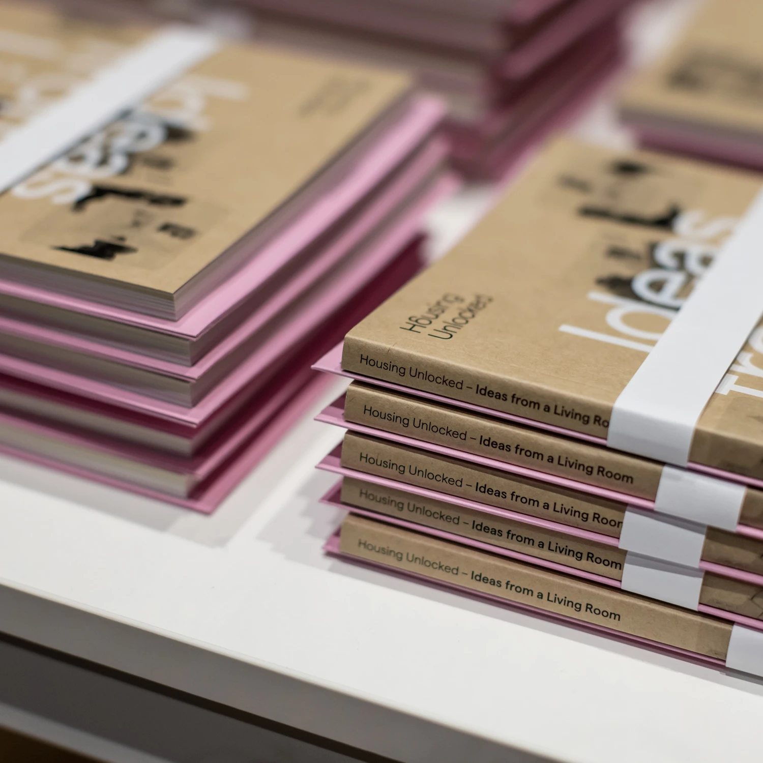 Housing Unlocked book now available