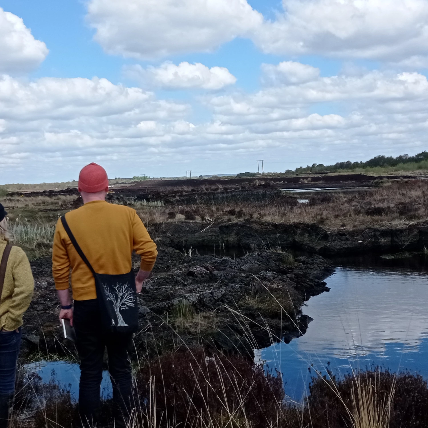 IAF Bog Bothy project awarded Creative Climate Action funding