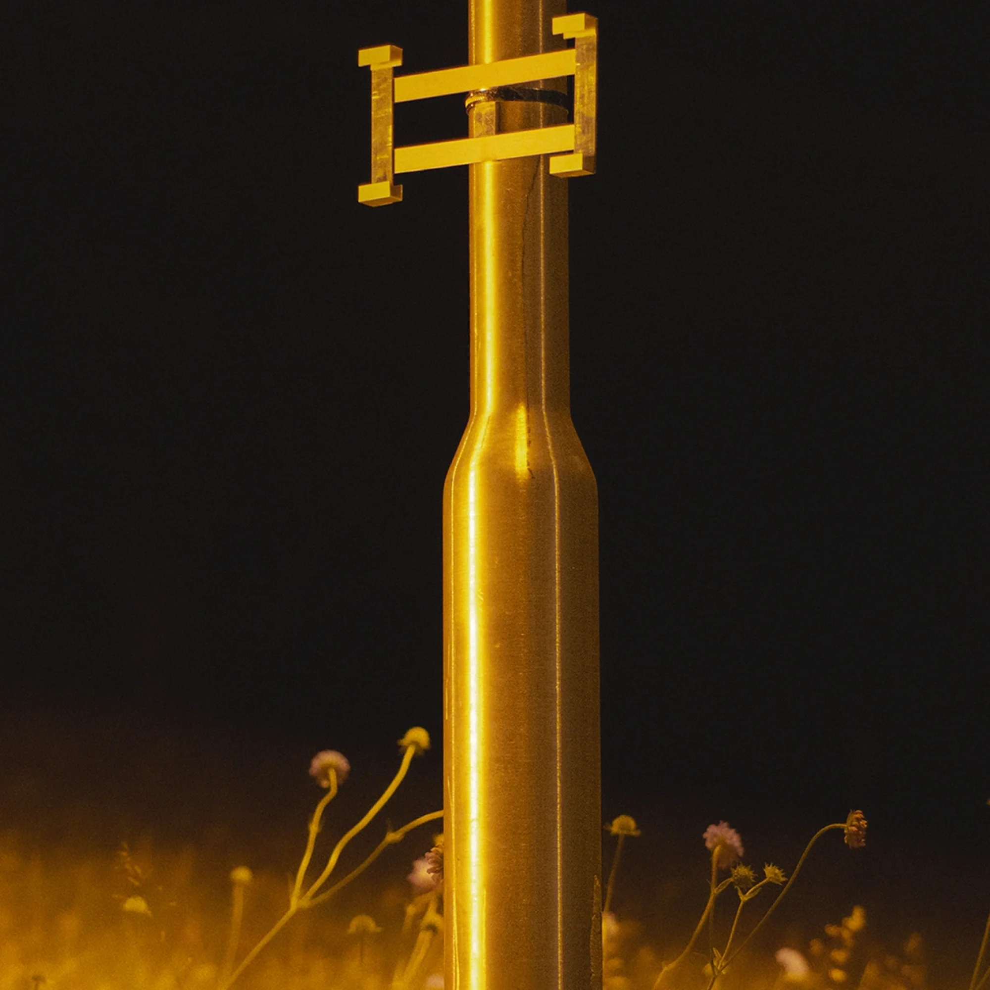 Announcing the LINA Writing Awards 2024 recipients