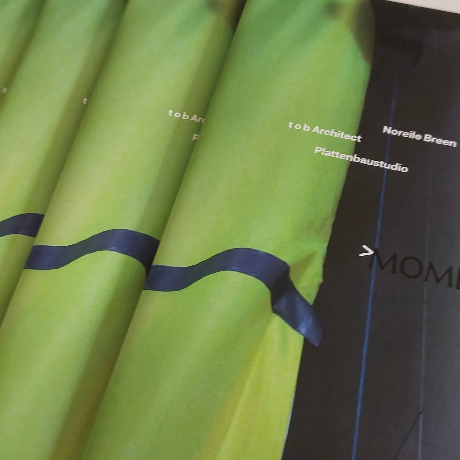 Momentum21 Publication available to order