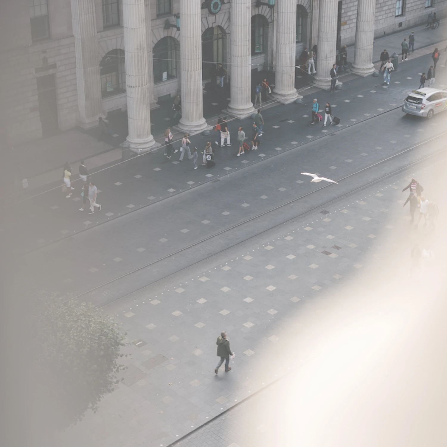 OHD26 Design and Website Services