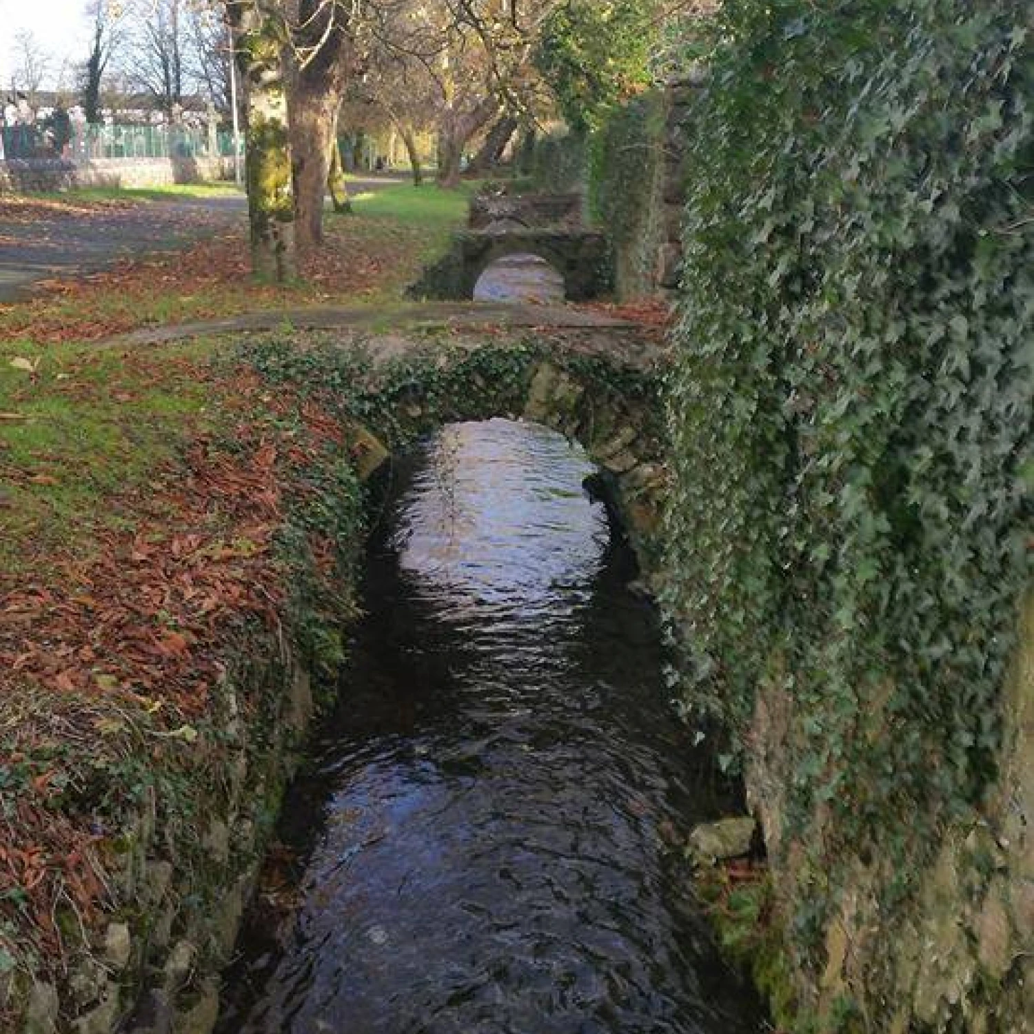 EXTENDED Open Call Reimagine….The Walks, Loughrea