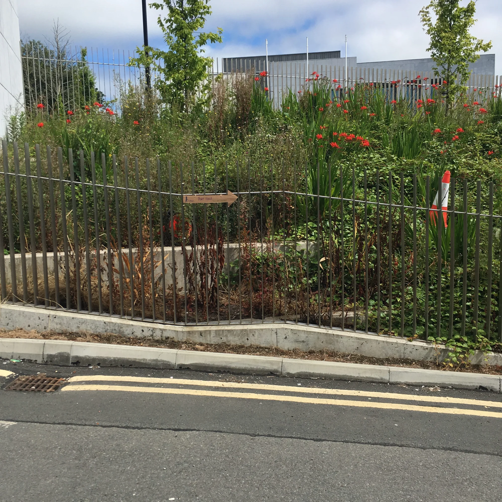 Reimagine Letterkenny, Creating a Cultural Corridor