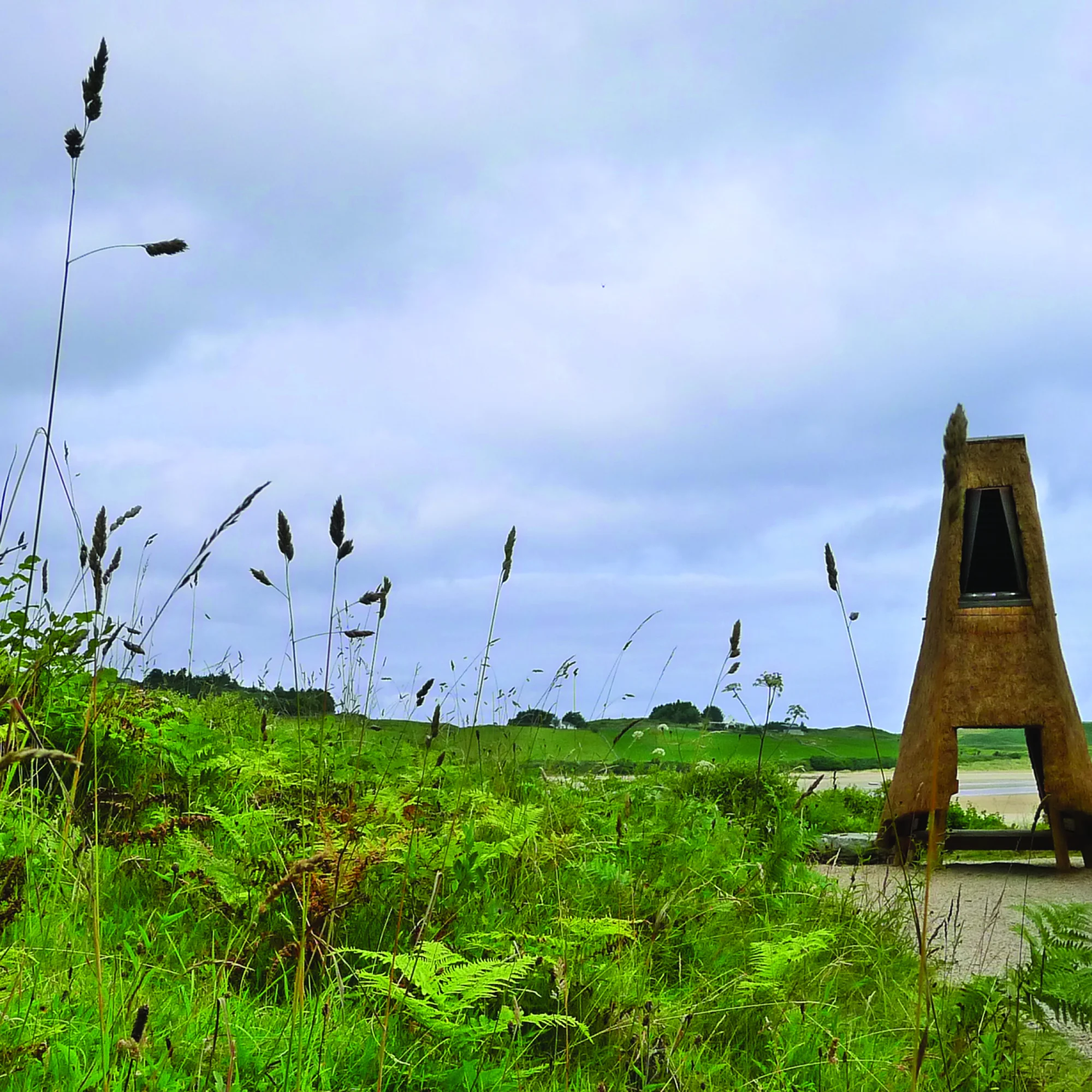 ArtScape @ Ards Forest Park