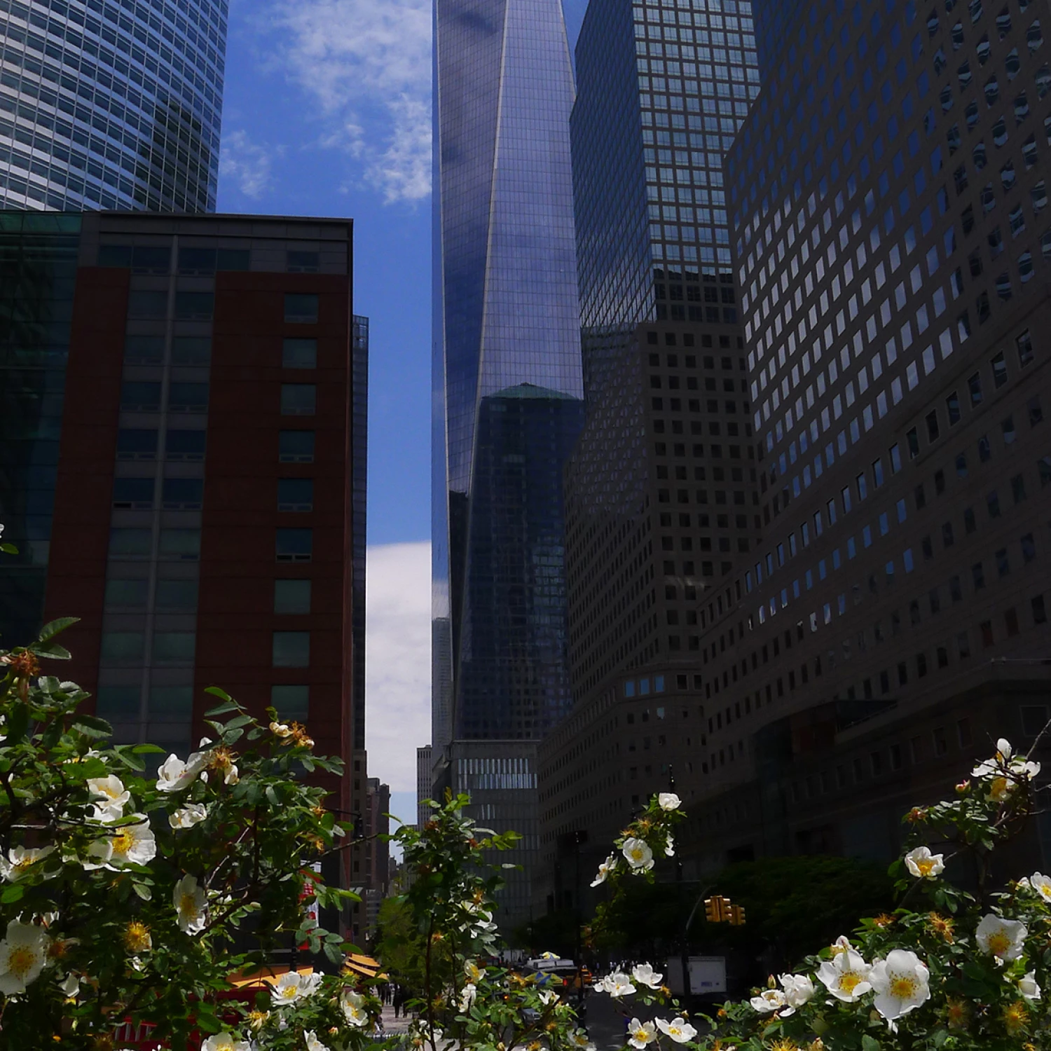 We Built This City